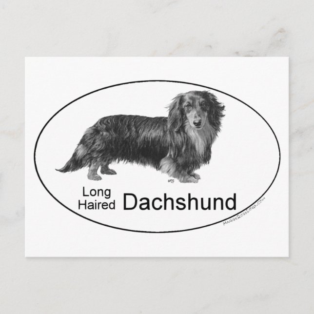 Dachshund Postcard (Front)
