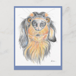 Dachshund postcard