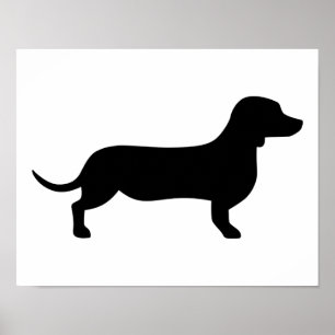 Dachshund Poster