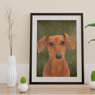 Dachshund Poster