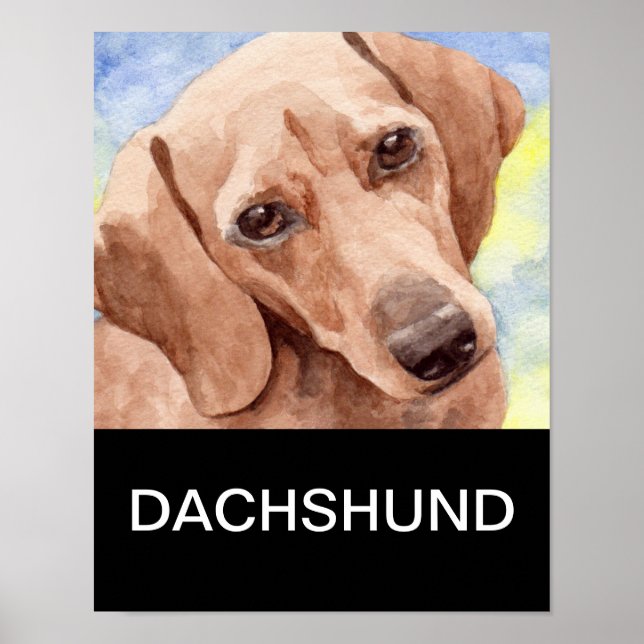 Dachshund Poster (Front)