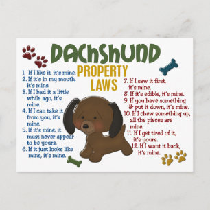 Dachshund Property Laws 4 Postcard