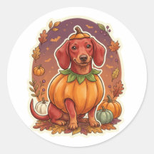 Dachshund Pumpkin Costume Halloween Sticker