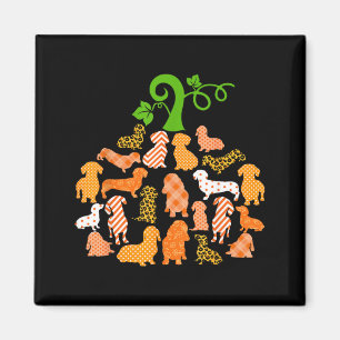 Dachshund Pumpkin Shape Plaid Leopard Dog Autumn Magnet