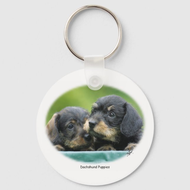 Dachshund Puppies 9W027D-093 Key Ring (Front)
