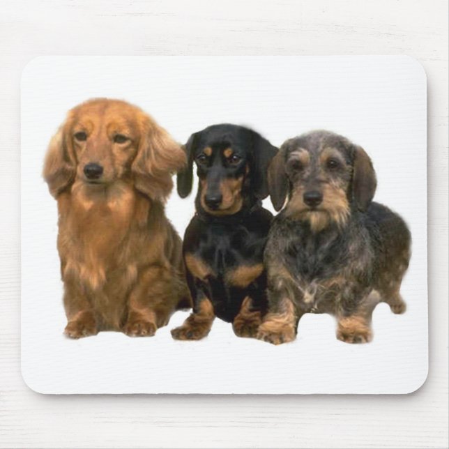 Dachshund Puppies Mousepad (Front)