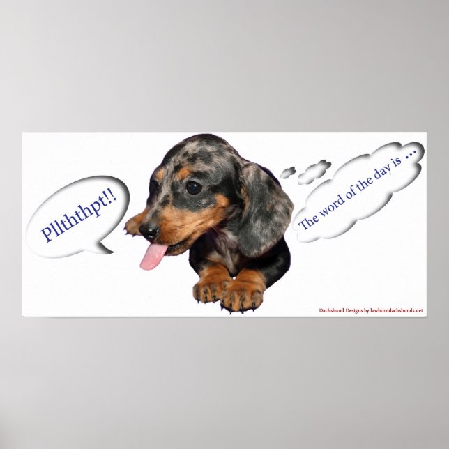 Dachshund Puppy Attitude Poster (Front)