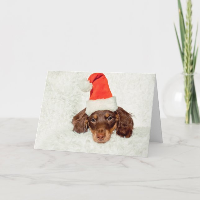 Dachshund puppy Christmas card (Front)