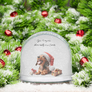 Dachshund Puppy Christmas Surprise Snowglobe