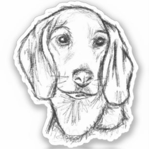 dachshund puppy dog black white simple sketch