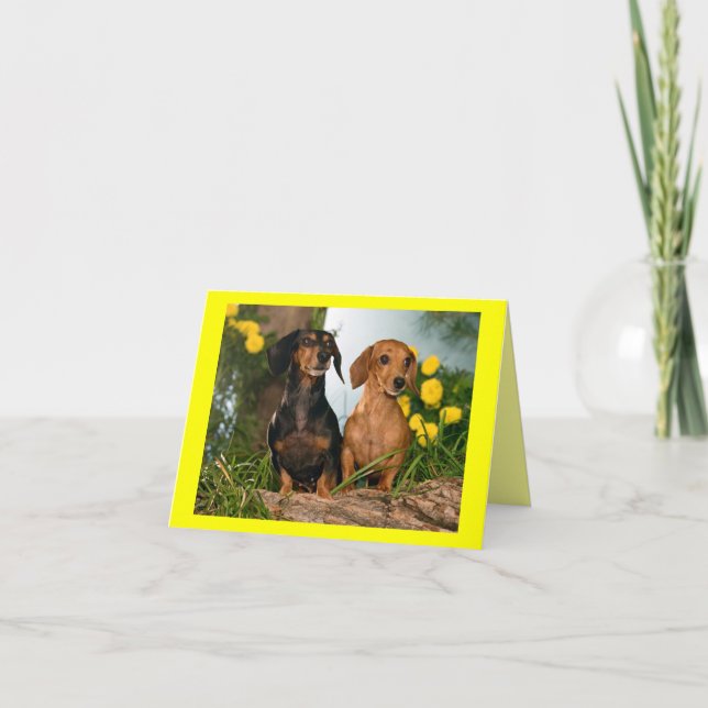 Dachshund Puppy Dog Blank Note Card (Front)