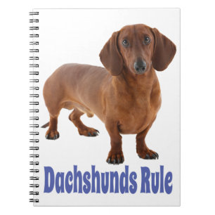 Dachshund Puppy Dog Blue Love Notebook