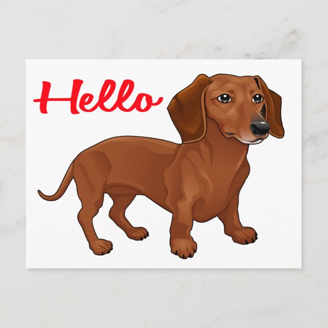 Dachshund Puppy Dog - Red Hello, Thinking of You Postcard (Front)
