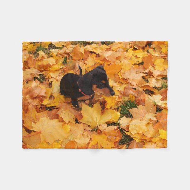 Dachshund puppy fleece blanket (Front (Horizontal))