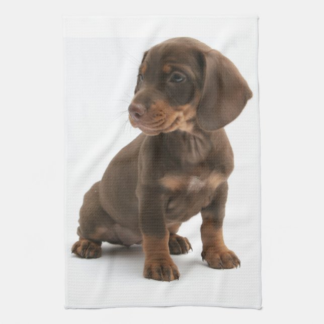 Dachshund Puppy Kitchen Towel (Vertical)