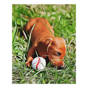 Dachshund Puppy Laying In Grass With Ball Xmas Pos Photo Print