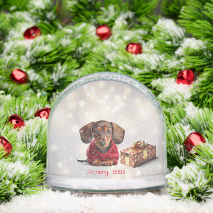Dachshund Puppy Personalized Snow Globe