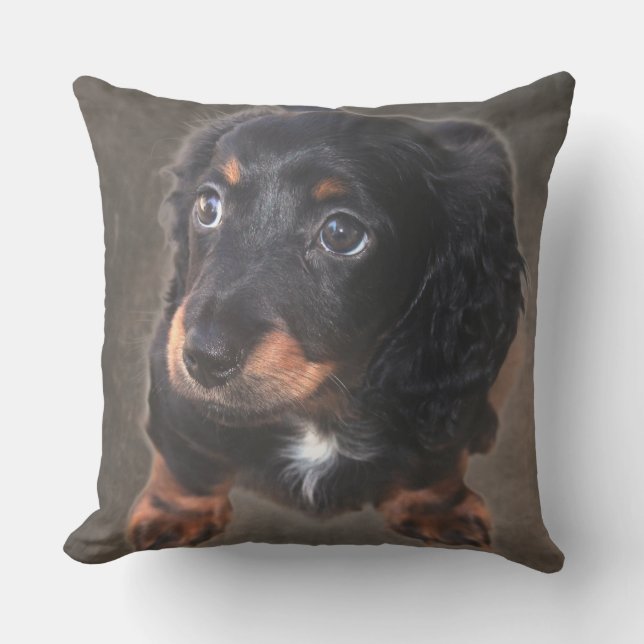 Dachshund Puppy Photo Custom Pillow (Front)