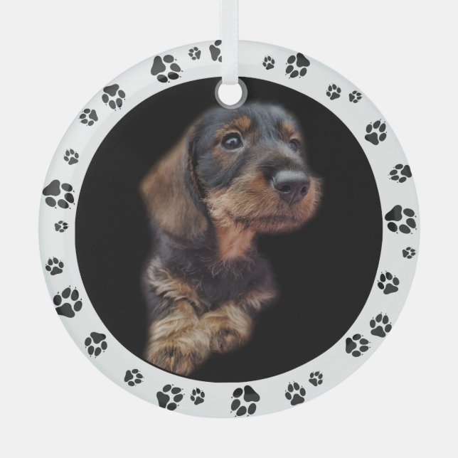 Dachshund Puppy Photo Paw Prints Glass Tree Decoration (Front)