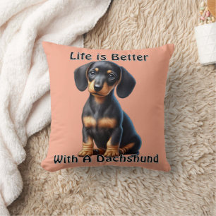 Dachshund Puppy Sitting and Looking with Innocent  Cushion