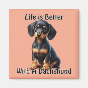 Dachshund Puppy Sitting and Looking with Innocent  Magnet