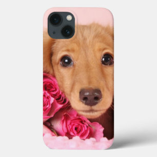 Dachshund Puppy Surrounded by Roses iPhone 13 Case