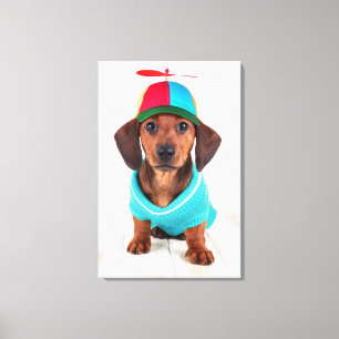 Dachshund Puppy Wearing Propeller Hat Canvas Print