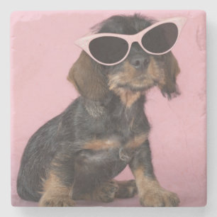 Dachshund Puppy Wearing Sunglasses Stone Coaster