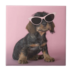 Dachshund Puppy Wearing Sunglasses Tile
