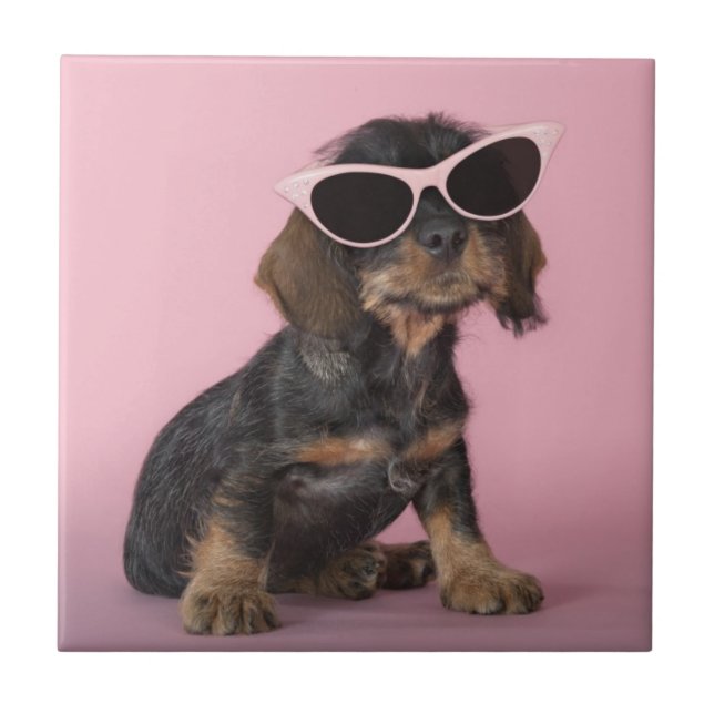 Dachshund Puppy Wearing Sunglasses Tile (Front)