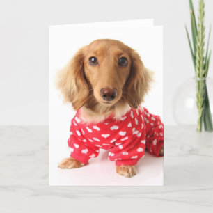 Dachshund Puppy Wearing Valentine's Outfit Holiday Card