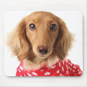Dachshund Puppy Wearing Valentine's Outfit Mouse Pad