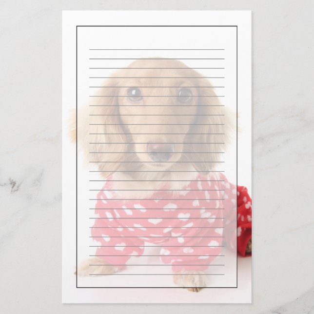 Dachshund Puppy Wearing Valentine's Outfit Stationery (Front)