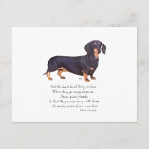 Dachshund Rainbow Bridge Postcard
