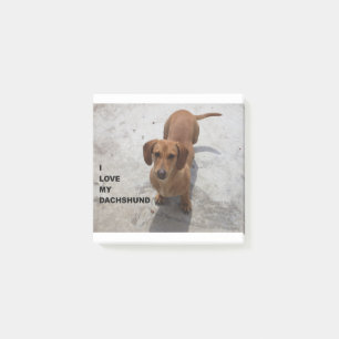 dachshund red full love w pic post-it notes
