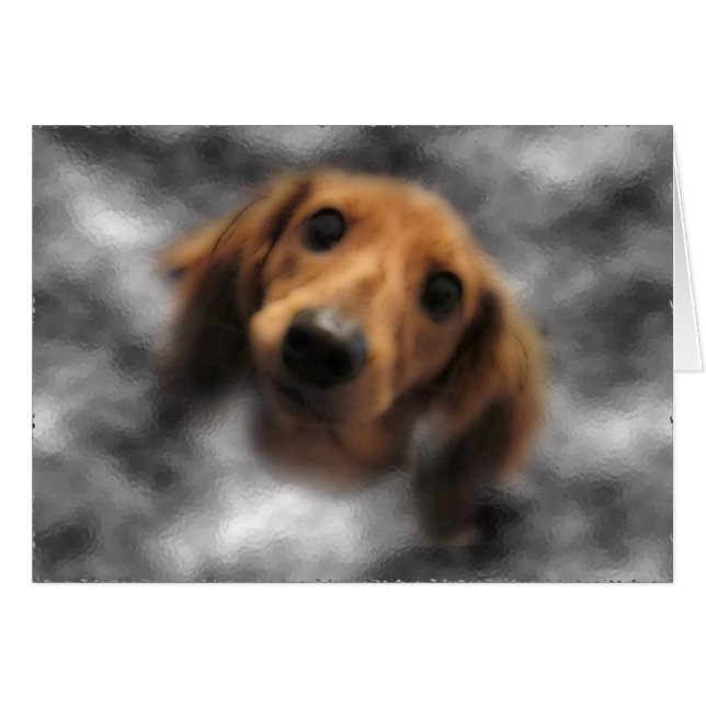 Dachshund Red LH (Front Horizontal)