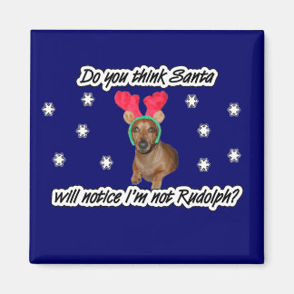 Dachshund Reindeer Magnet