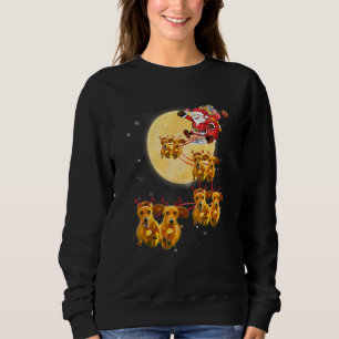 Dachshund Reindeer Santa Sleigh Christmas Dog Sweatshirt