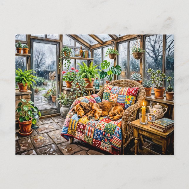 Dachshund Resting on Patchwork Chair Inside Greenh Postcard (Front)