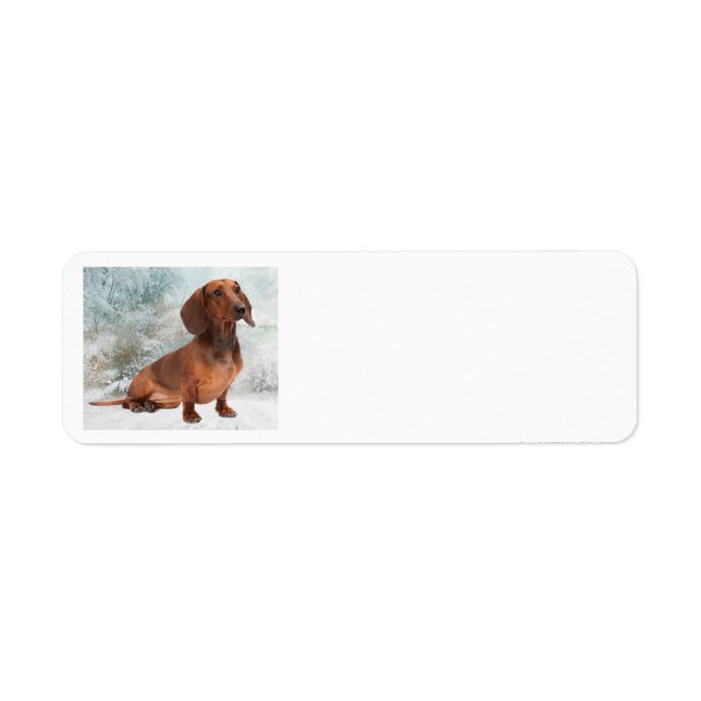 Dachshund Return Address Label (Front)