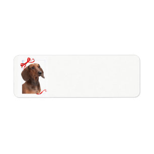 Dachshund Return Address Labels