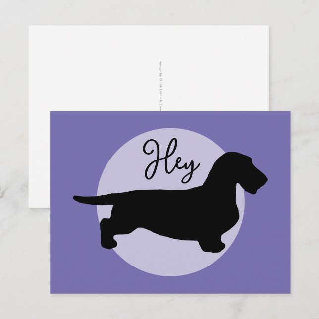 Dachshund Rough Hair - Silhouette 1 Postcard (Front/Back)