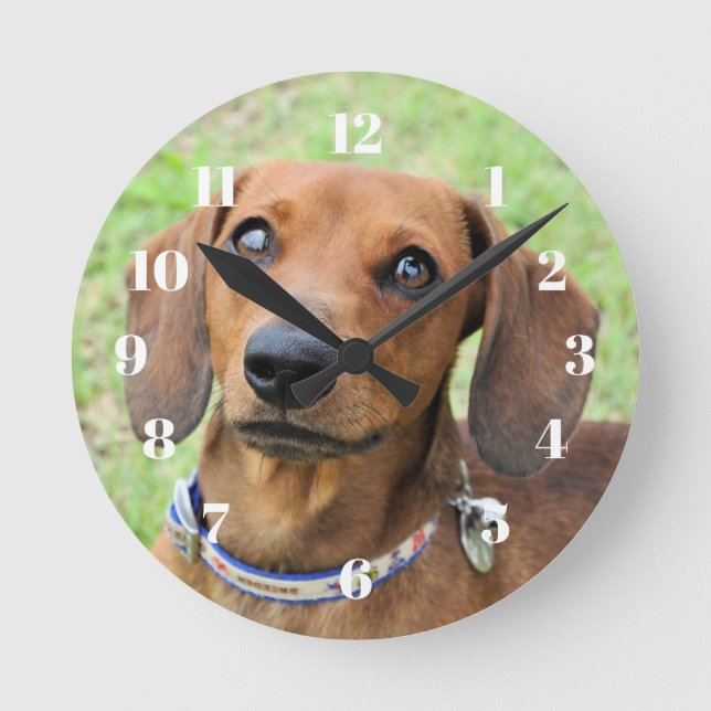Dachshund Round Clock (Front)