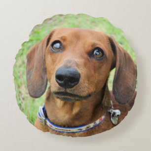 dachshund round cushion