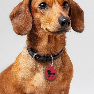 Dachshund Safety Tags Wiener Dog Tag Personalised