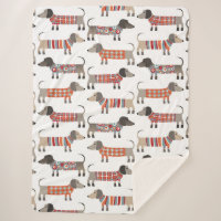 Dachshund Sausage Dog