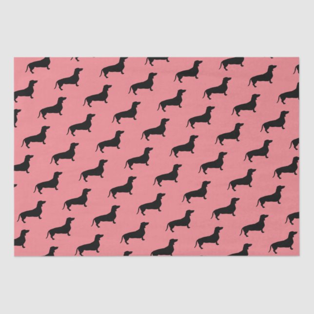 Dachshund Short Hair - Silhouette 1 Tissue Paper (Front)