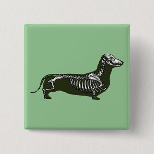 dachshund skeleton 15 cm square badge