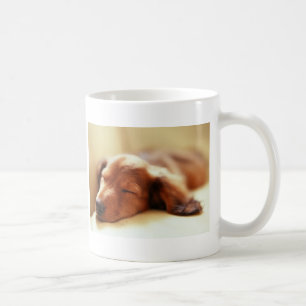 Dachshund sleeping coffee mug