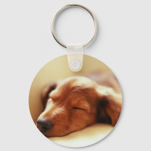 Dachshund sleeping key ring
